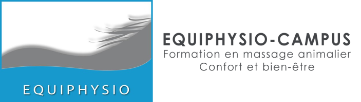 Equiphysio